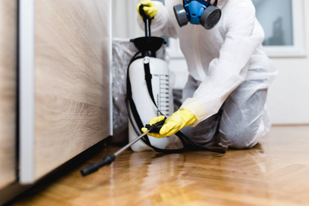 Best Affordable Pest Control Services  in Helena, OK