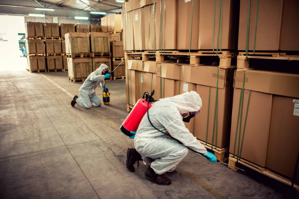 Flea Control Services in Helena, OK
