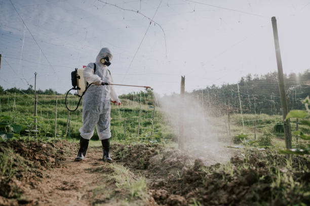 Best Best Pest Control Companies  in Helena, OK