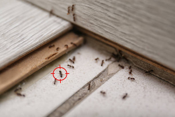 Pest Control Cost in Helena, OK
