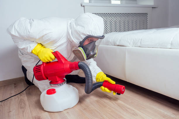 Best Emergency Pest Control  in Helena, OK