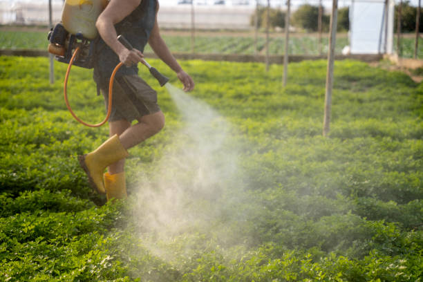 Best Pest Inspection Near Me  in Helena, OK
