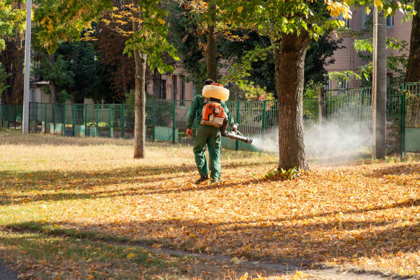 Best Affordable Pest Control Services  in Helena, OK