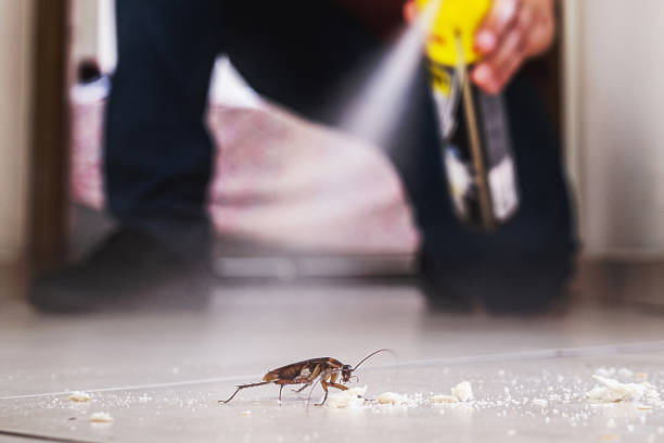Best Pest Control Near Me in Helena, OK