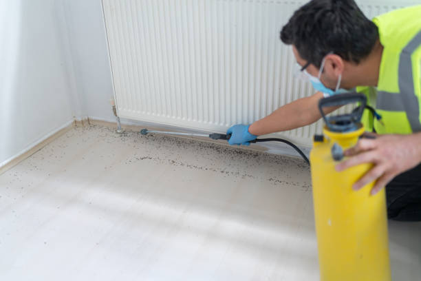 Best Cockroach Control Services  in Helena, OK