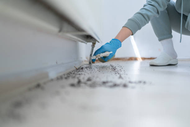Best Exterminator Services  in Helena, OK