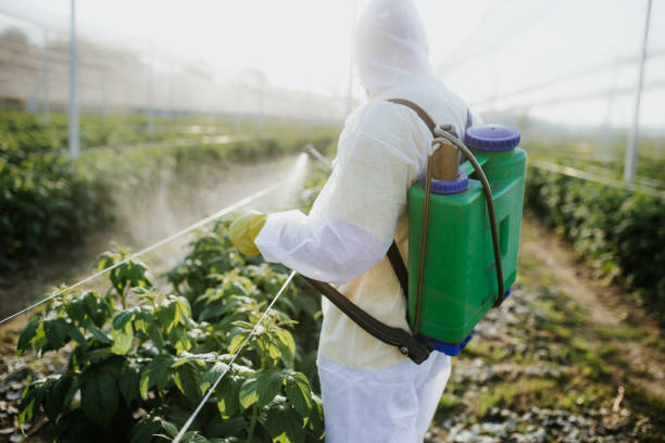 Best Commercial Pest Control Services  in Helena, OK